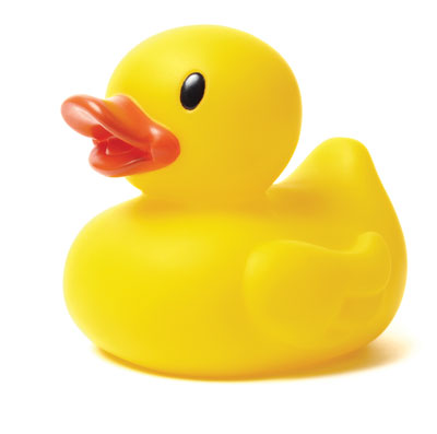 Yellow rubber ducky